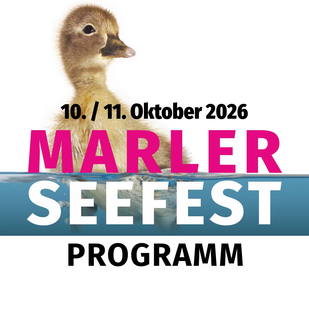 Seefest Programm